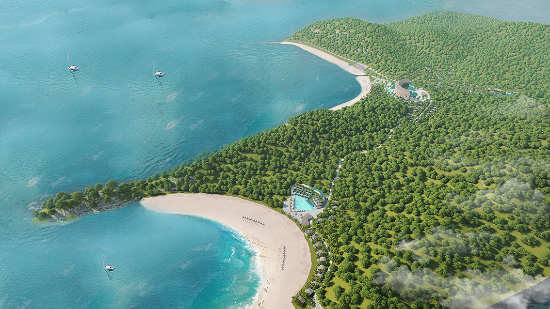 19. Great Hornbill 1